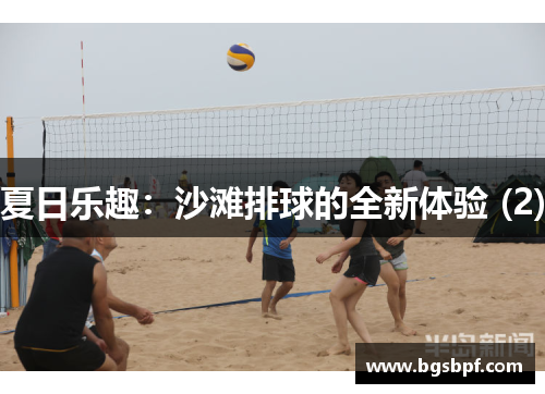 夏日乐趣：沙滩排球的全新体验 (2)
